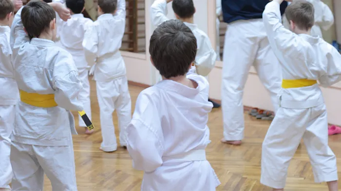 Okinawa Karate Uechi Style Picture 1