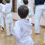 Okinawa Karate Uechi Style