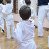 Okinawa Karate Uechi Style ico