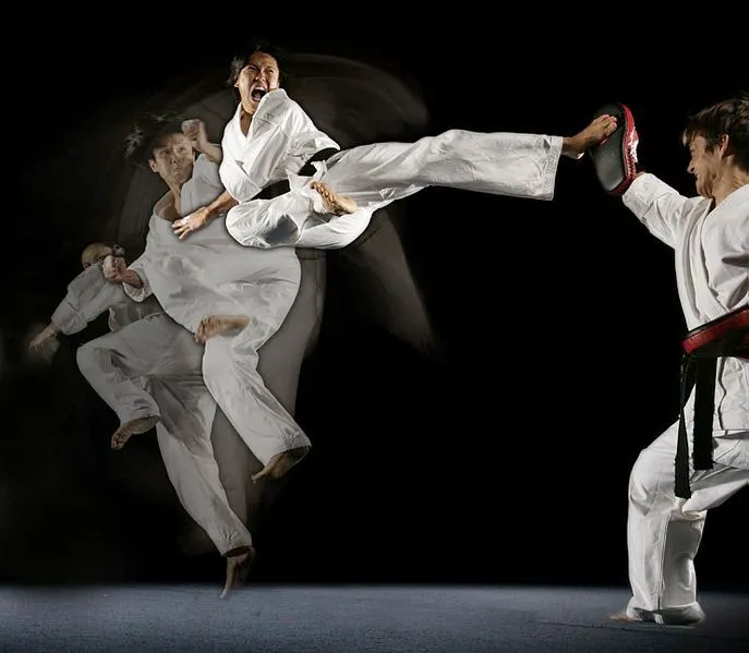 ATA Integrity Martial Arts Picture 1