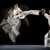 ATA Integrity Martial Arts ico
