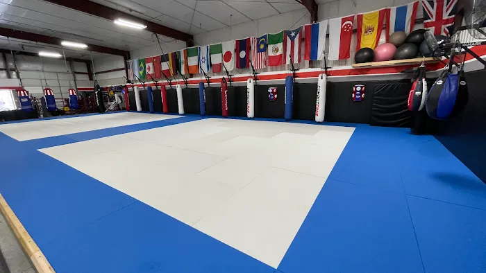 Alliance AZO Martial Arts Training Center LLC Picture 2
