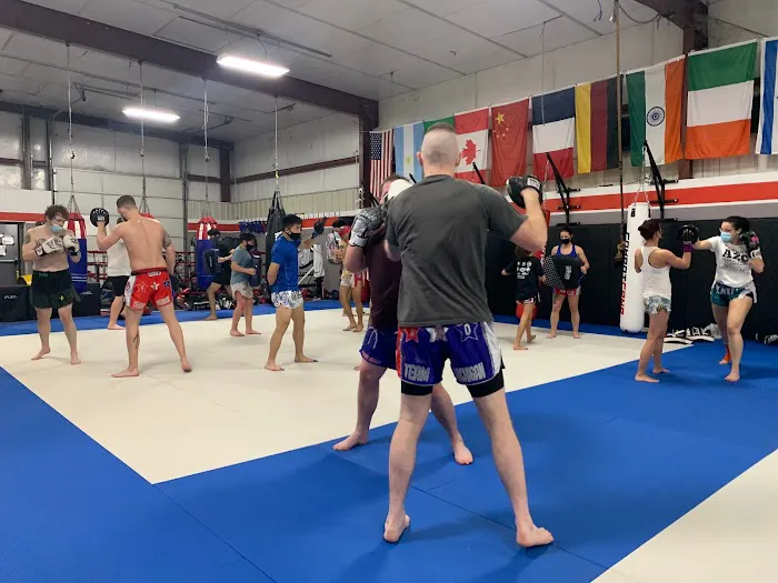 Alliance AZO Martial Arts Training Center LLC Picture 1