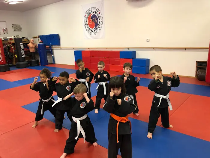 Korean Martial Arts Picture 4