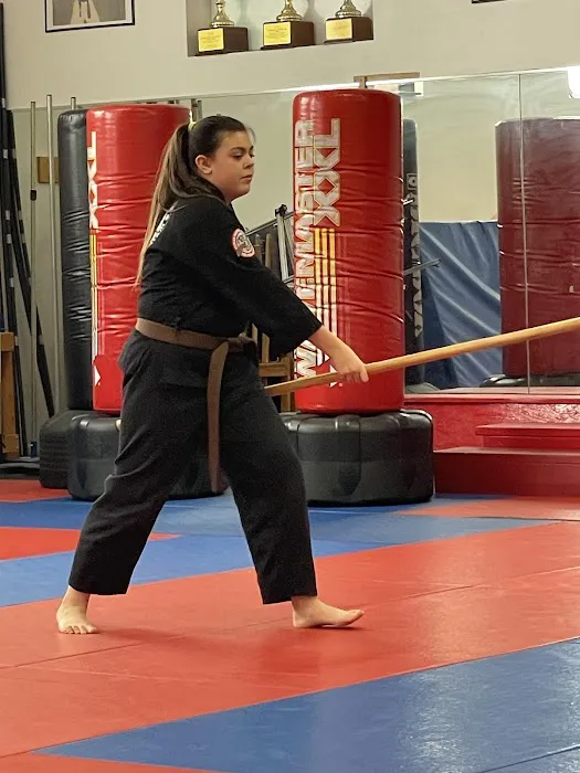 Korean Martial Arts Picture 5