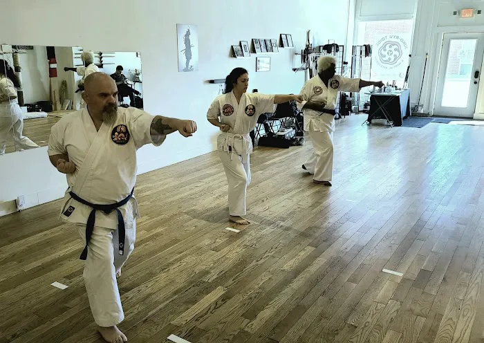 Juko-Ryu Toide & Martial Arts Center Picture 3