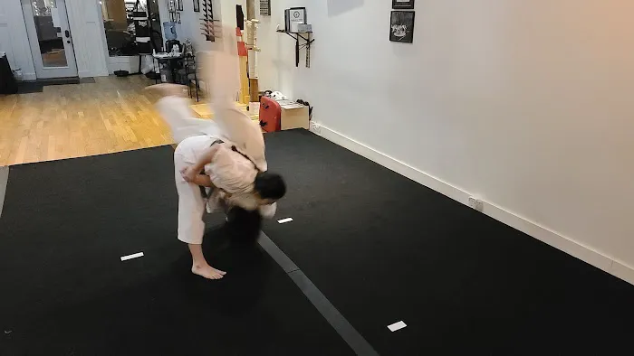 Juko-Ryu Toide & Martial Arts Center Picture 6