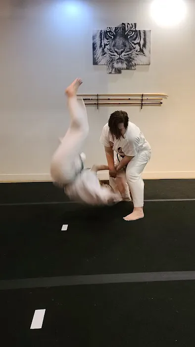 Juko-Ryu Toide & Martial Arts Center Picture 7