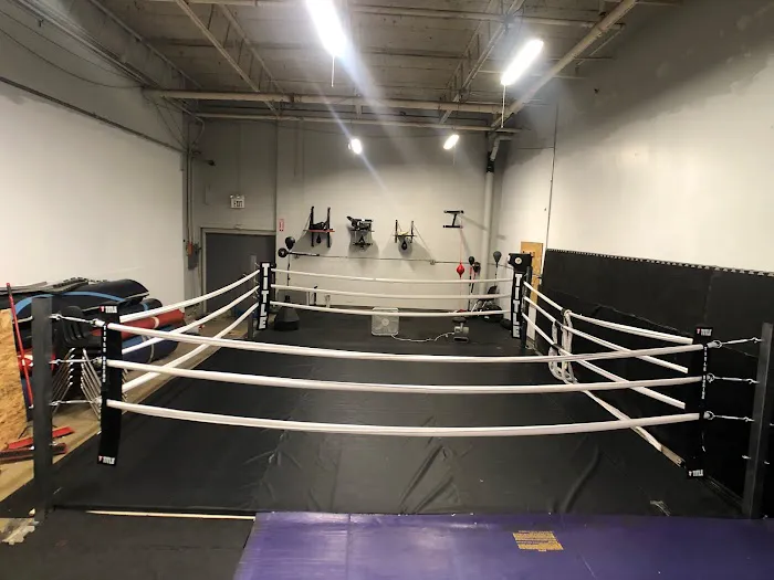 Mushin Academy of Martial Arts | Battle Creek Picture 2