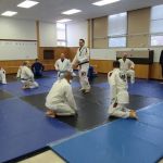 Mushin Academy of Martial Arts | Battle Creek