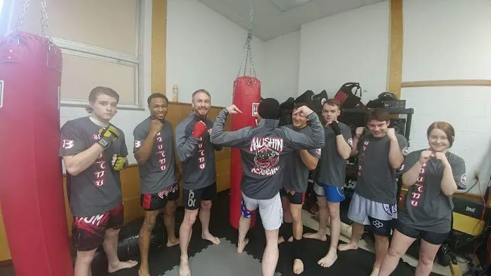 Mushin Academy of Martial Arts | Battle Creek Picture 10