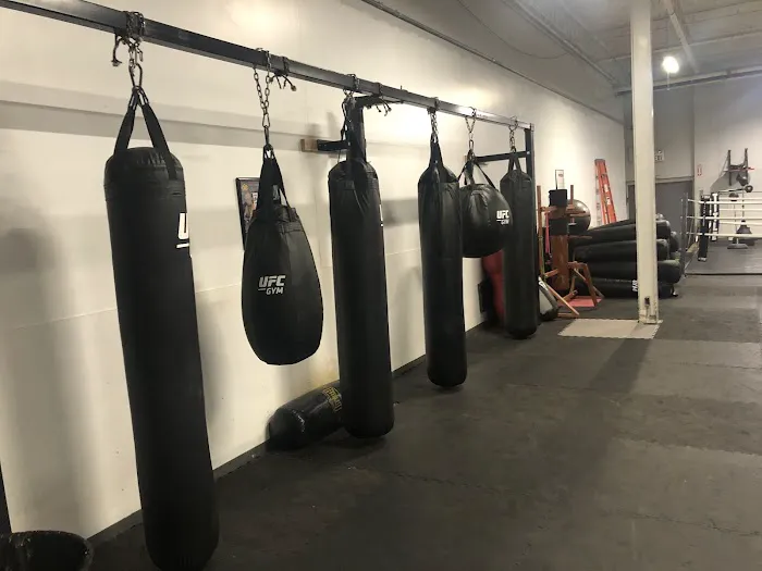 Mushin Academy of Martial Arts | Battle Creek Picture 8