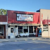 Lions Karate of North Webster ico