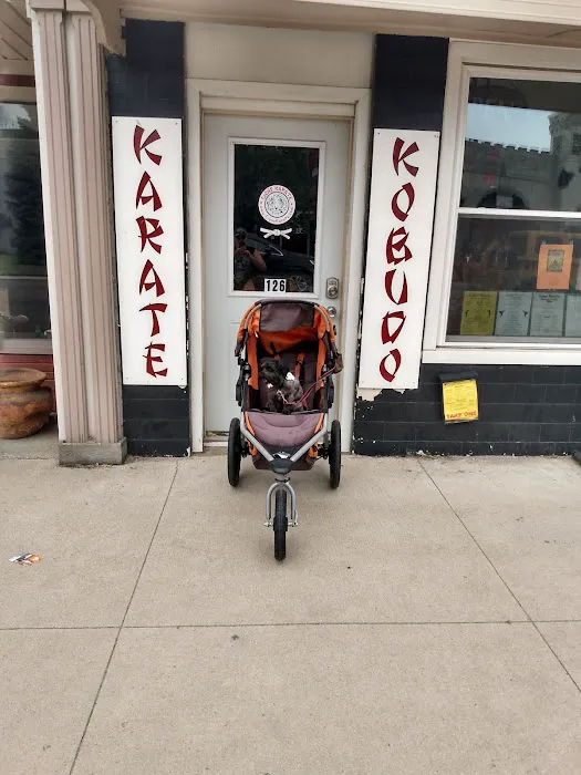 Lions Karate of North Webster Picture 4