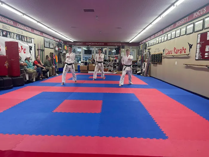Lions Karate of North Webster Picture 2