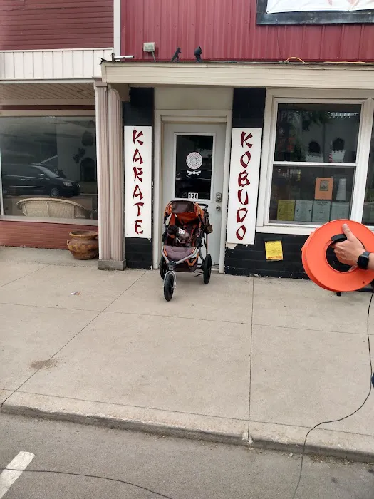 Lions Karate of North Webster Picture 5