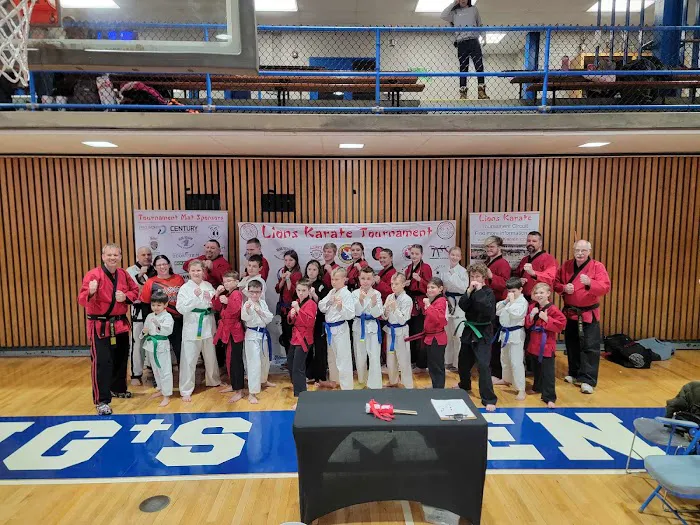 Lions Karate of North Webster Picture 6