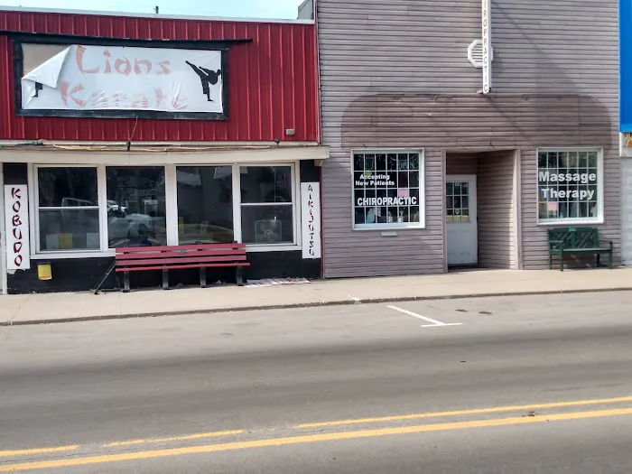 Lions Karate of North Webster Picture 9