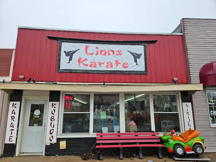 Lions Karate of North Webster Picture 10