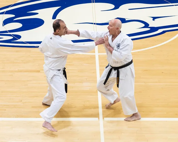 Kansas City Shotokan Karate Club Picture 1