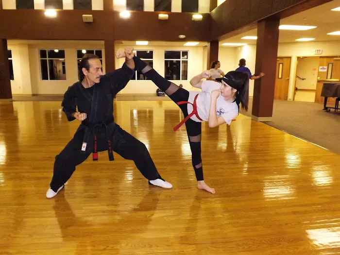 Shin Do Ryu Karate Picture 3