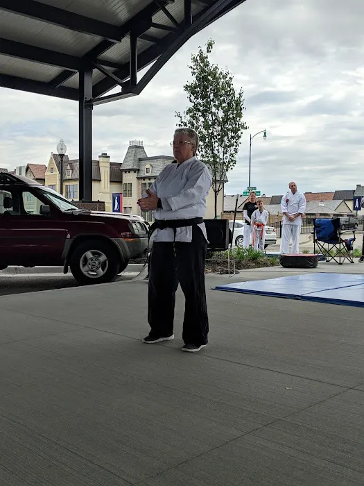 Shin Do Ryu Karate Picture 8