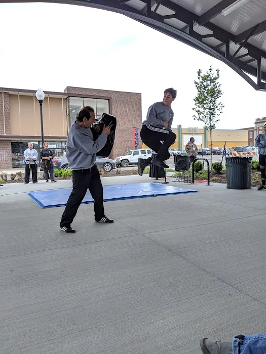 Shin Do Ryu Karate Picture 9