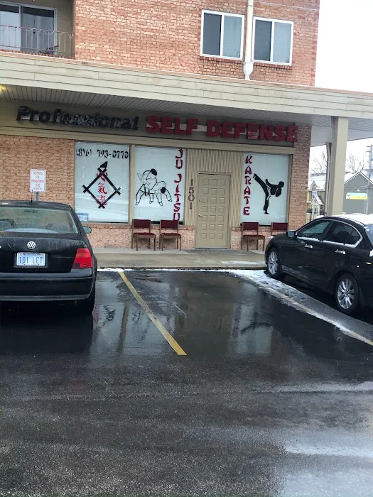 Professional Self Defense Picture 2