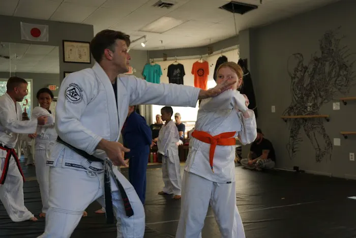 Professional Self Defense Picture 4