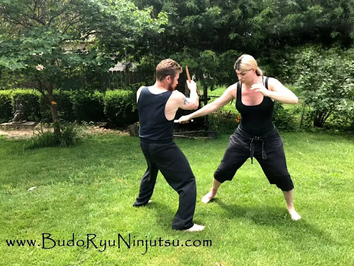 Budo Ryu Ninjutsu Dojo Picture 3