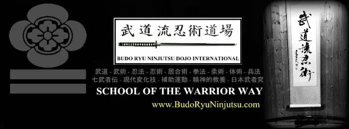 Budo Ryu Ninjutsu Dojo Picture 1