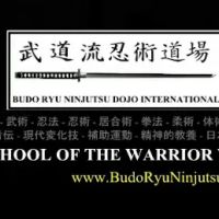 Budo Ryu Ninjutsu Dojo ico