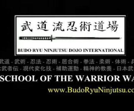 Budo Ryu Ninjutsu Dojo