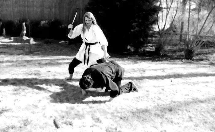Budo Ryu Ninjutsu Dojo Picture 5