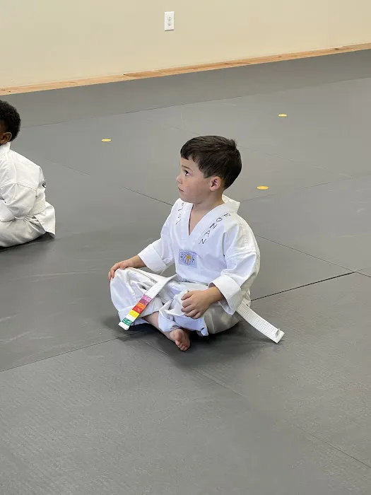 Hero Martial Arts Picture 1