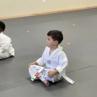 Hero Martial Arts ico