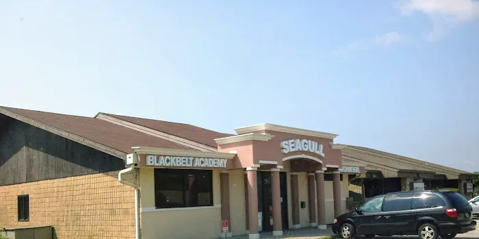 Seagull Blackbelt Academy Picture 2