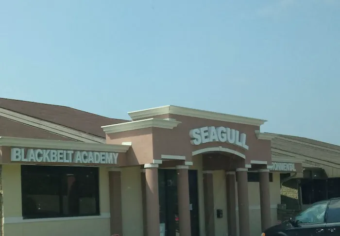 Seagull Blackbelt Academy Picture 1