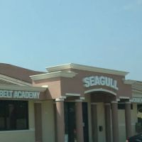 Seagull Blackbelt Academy ico