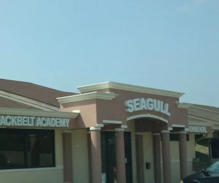 Seagull Blackbelt Academy