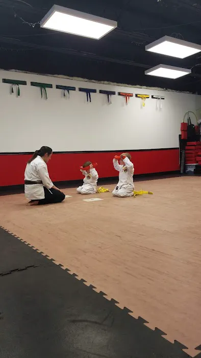 Aplomb Martial Arts Prairie Village Picture 3