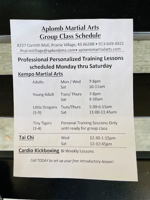 Aplomb Martial Arts Prairie Village Picture 9