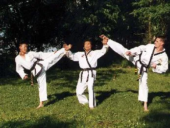 Choon Lee's Academy-Tae Kwon Picture 8