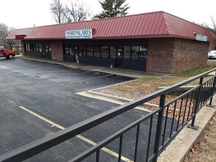 Martial Arts Institute North Picture 1