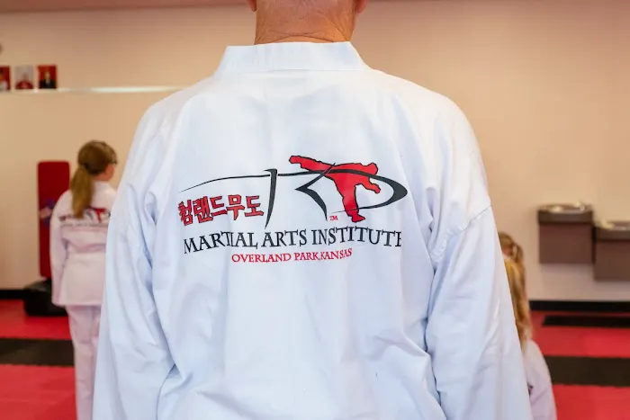 Martial Arts Institute North Picture 6