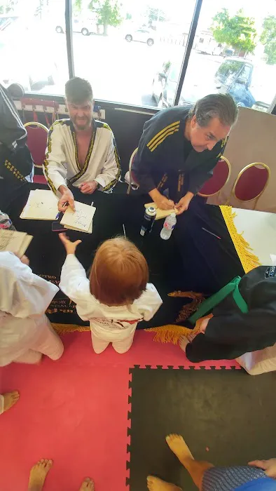 Martial Arts Institute North Picture 5