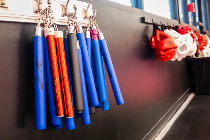 Martial Arts Institute North Picture 8