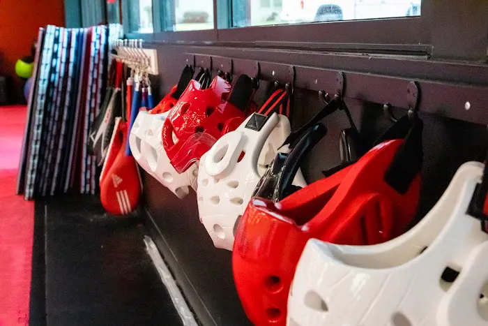 Martial Arts Institute North Picture 10