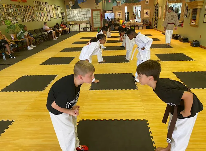 AKKA Karate USA - Independence Picture 3