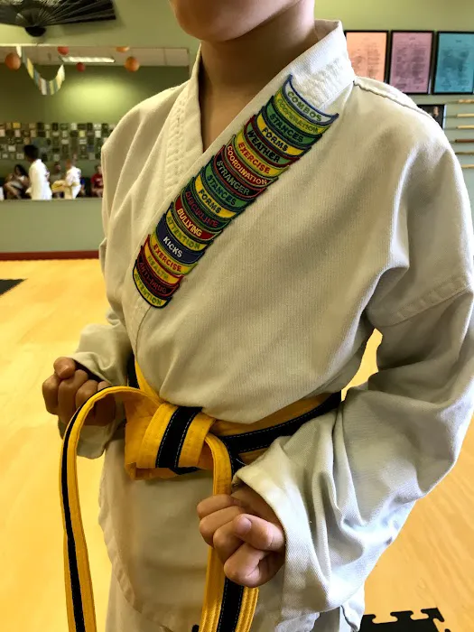 AKKA Karate USA - Independence Picture 8